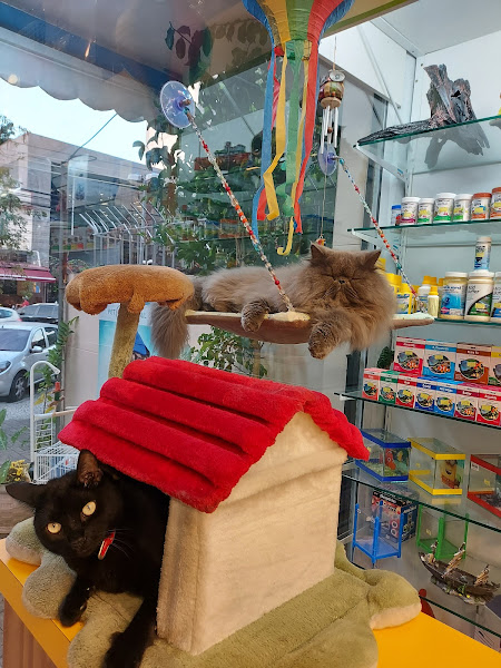 Foto 1 Pet Shop Cat e Dog Norte Sul