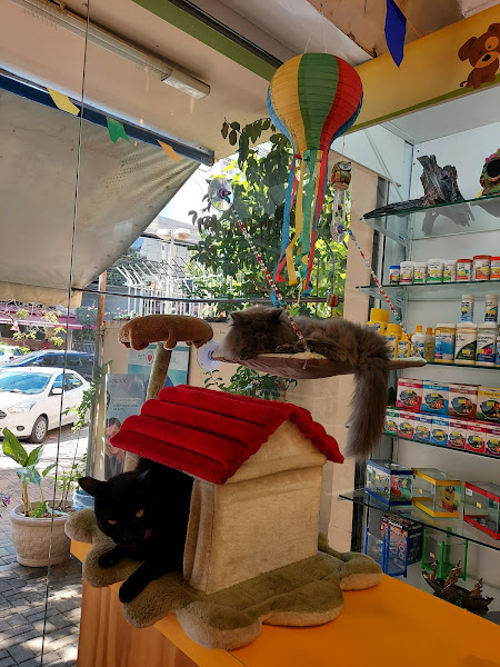 Foto 2 Pet Shop Cat e Dog Norte Sul