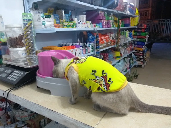 Foto 1 Pet shop Engenho Novo