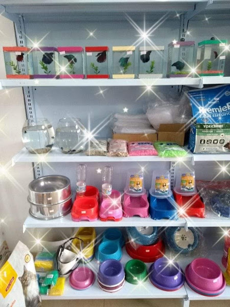 Foto 2 Pet shop Engenho Novo