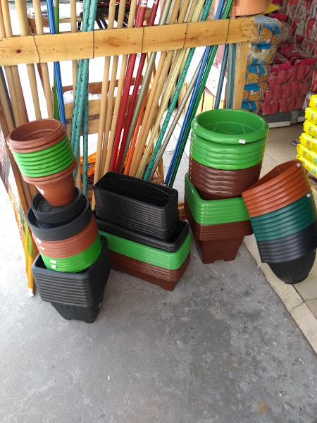 Foto 3 Pet shop Engenho Novo