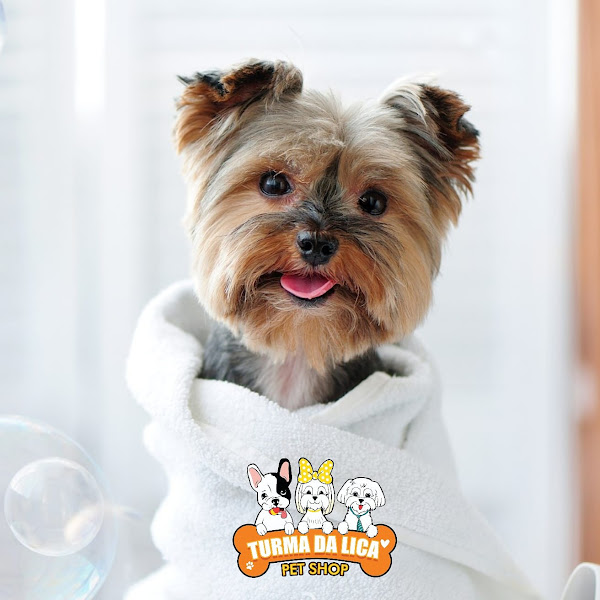 Foto 2 Turma da Lica Pet Shop