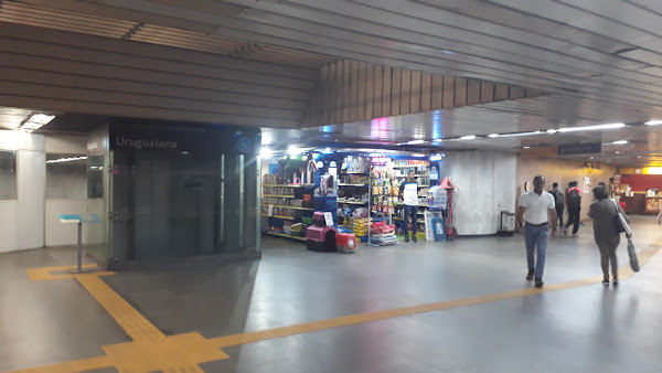 Foto 1 Savana Pet Shop