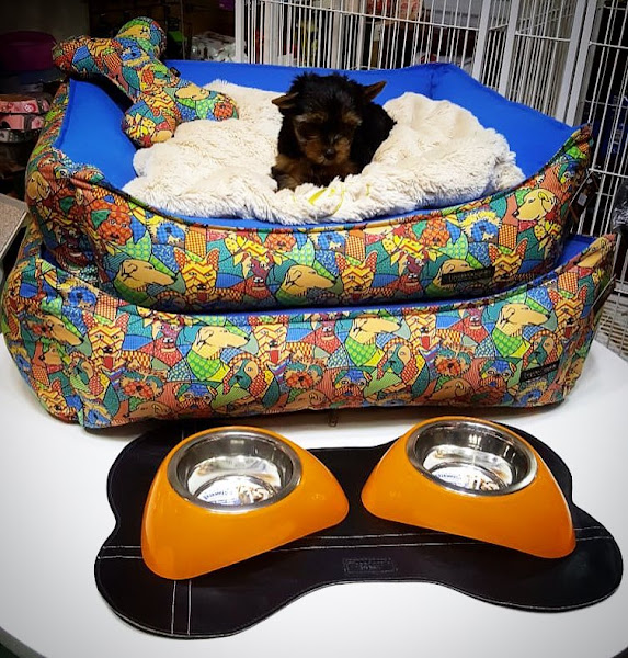 Foto 3 Gatões do Shopping