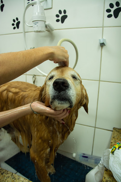 Foto 3 Utilipet - Pet Shop Express