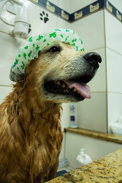 Foto 4 Utilipet - Pet Shop Express