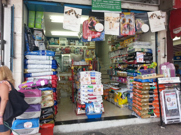 Pet Shop Animal Feliz