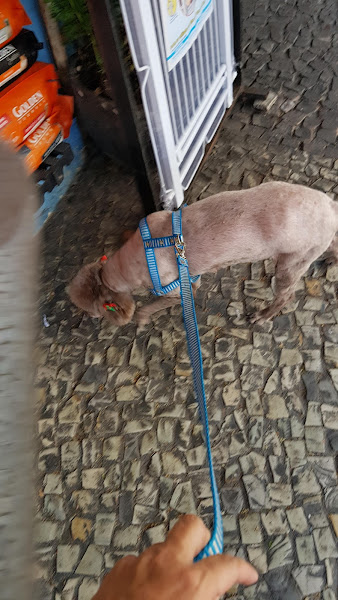 Foto 4 Pet Shop Animal Feliz