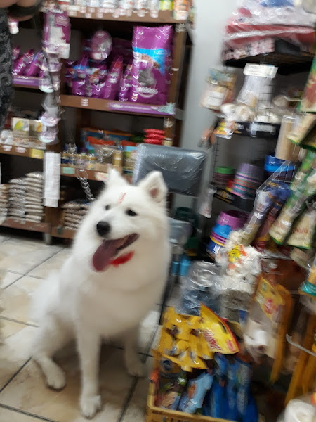 Foto 2 Pet Shop É o Bichos