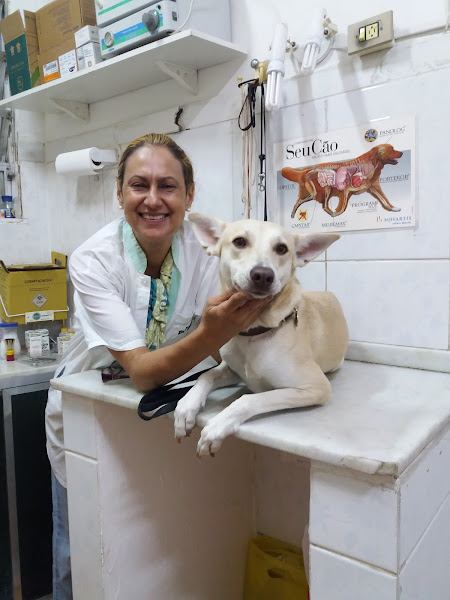 Foto 4 Pet Shop É o Bichos