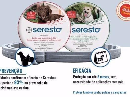 Foto 4 Rali dos Bichos Pet Shop