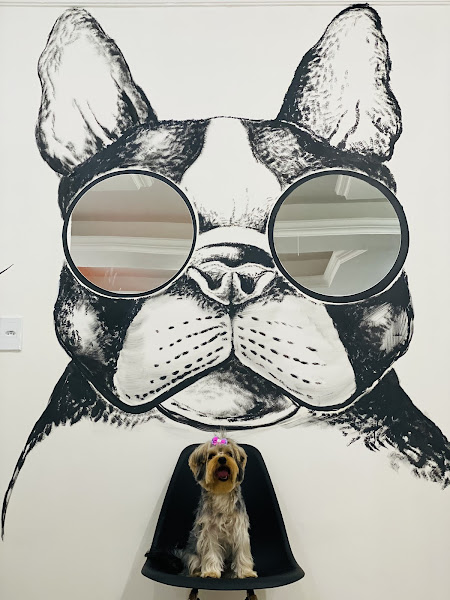 Pet Shop Mundo Animal