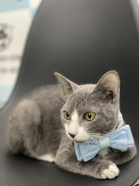 Foto 2 Pet Shop Mundo Animal