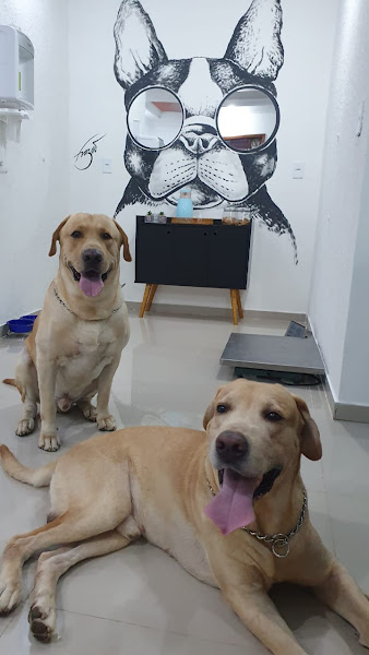 Foto 3 Pet Shop Mundo Animal