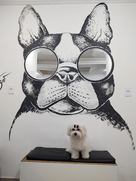 Foto 4 Pet Shop Mundo Animal