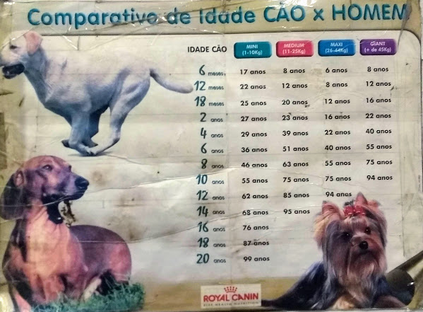 Foto 4 Alçapão PetShop