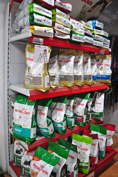 Foto 2 PET DO FRAJOLA