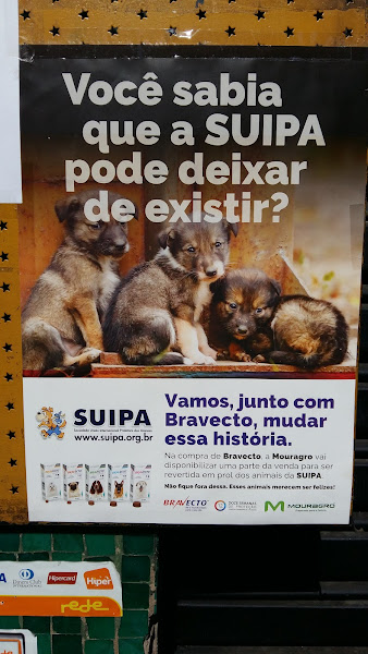 Foto 4 Pet Shop Peludinhos Foto 4 Pet Shop Peludinhos