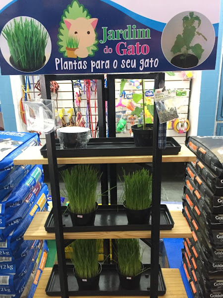 Foto 1 Pet Shop Bichomania