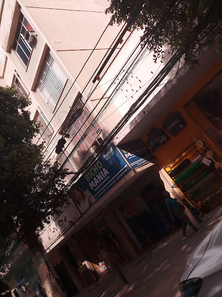 Foto 3 Pet Shop Bichomania