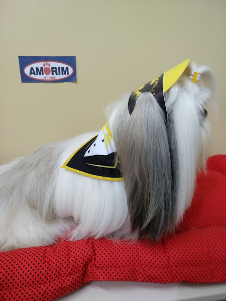 Foto 2 Amorim Petshop