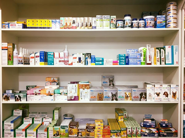 Foto 3 Dogão Pet Shop Vila Isabel