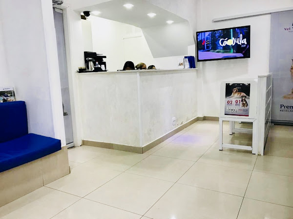 Foto 2 Vet Ypiranga Hospital & Pet Shop - Unidade Laranjeiras