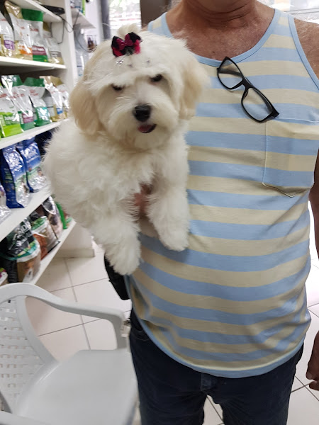 Foto 2 Cariocão Pet Shop