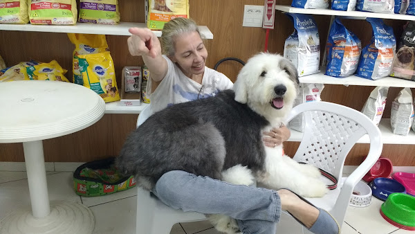 Foto 4 Cariocão Pet Shop