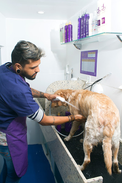 Foto 2 Pet Shop Cave Tijuca