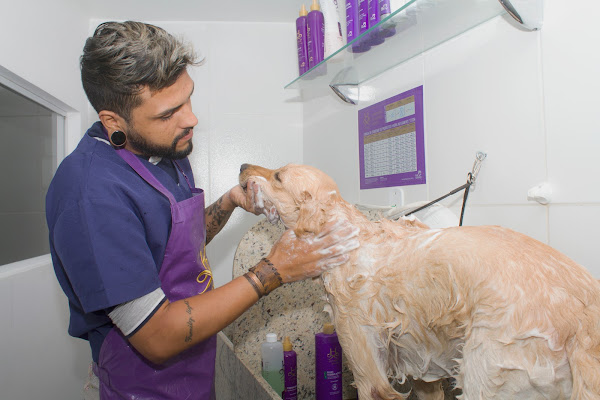 Foto 4 Pet Shop Cave Tijuca