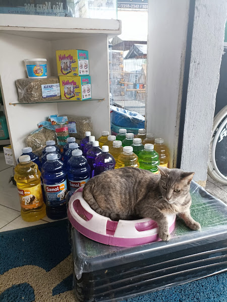 Foto 1 TOP PET SHOP VILLAGE