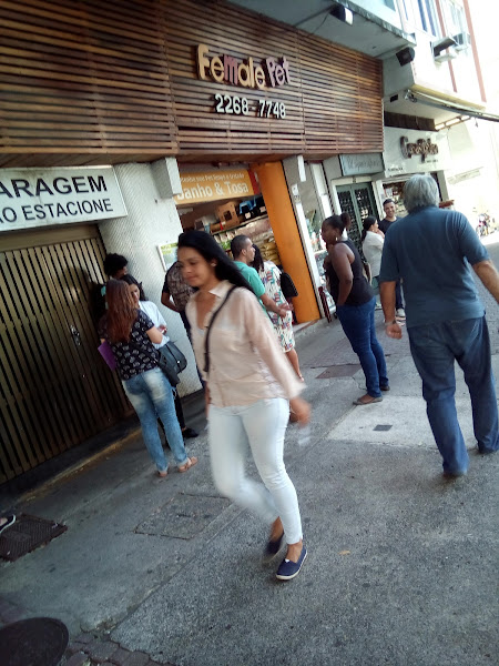 Foto 5 Female Pet Foto 5 Female Pet