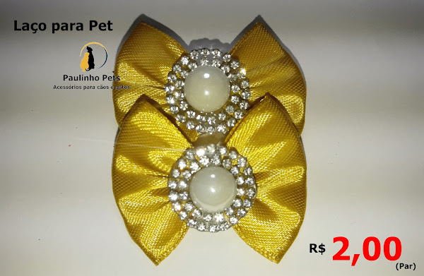 Foto 1 Paulinho Pets