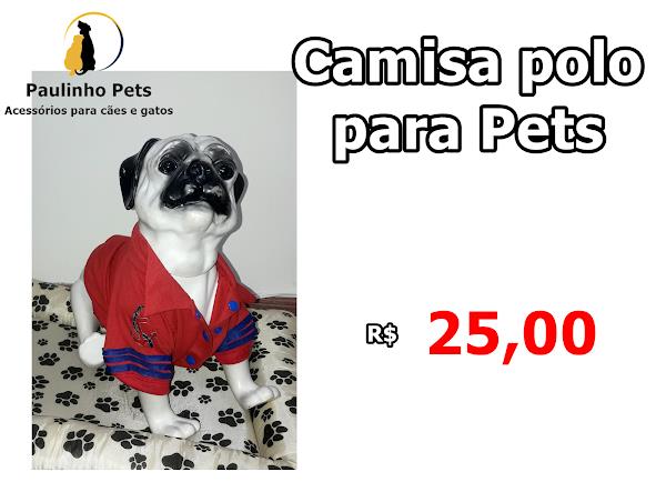 Foto 4 Paulinho Pets