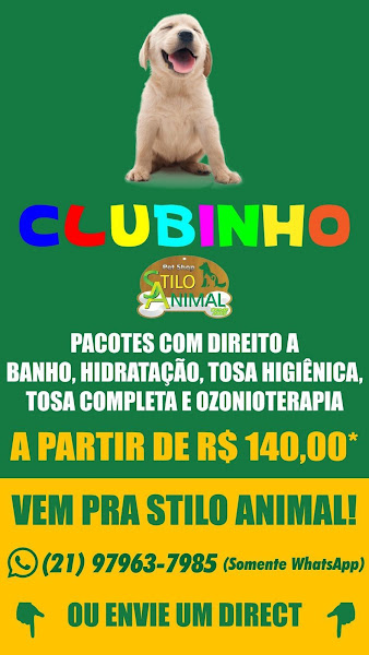 Foto 4 Stilo Animal