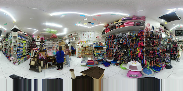 Foto 1 Dog Landia Tijuca Pet Shop