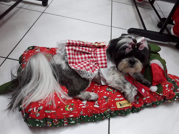 Foto 3 Dog Landia Tijuca Pet Shop