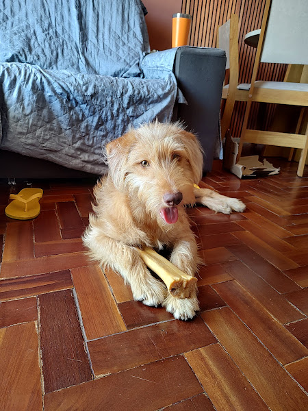 Foto 1 AuMiau Pet Shop