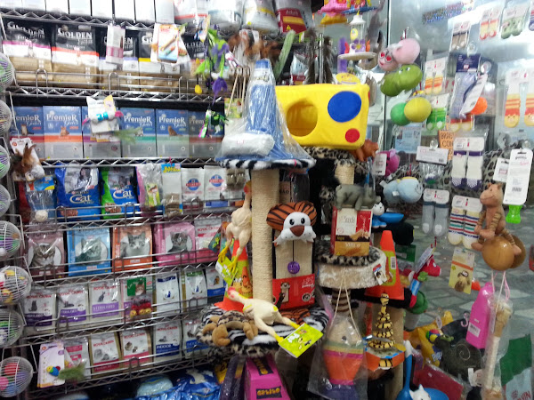 Foto 1 Animais & Algo Mais