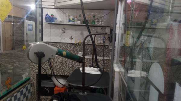 Foto 3 Animais & Algo Mais