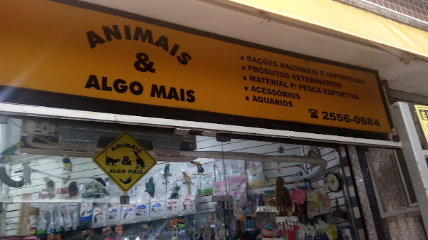 Foto 5 Animais & Algo Mais