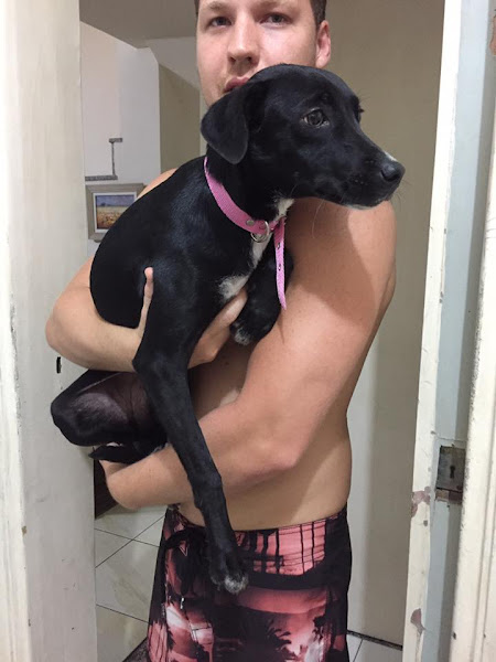 Foto 4 Mr. Dog Pet Shop