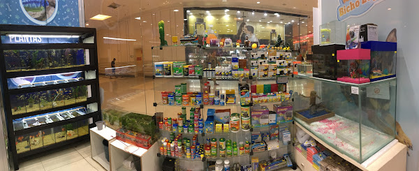 Foto 4 BICHO LEGAL - BANHO E TOSA - ATENDIMENTO VETERINÁRIO - GUADALUPE