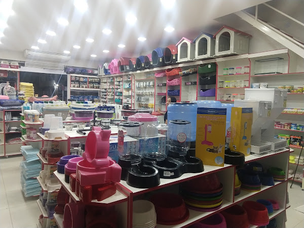 Foto 4 Pet de Olaria