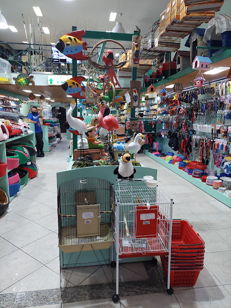 Foto 2 Nova Pet Lazer