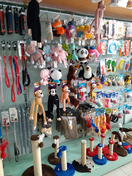 Foto 3 Nova Pet Lazer