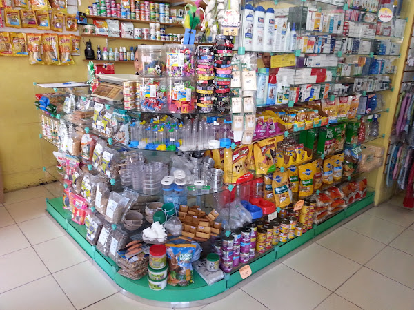 Foto 1 Planeta mundo animal