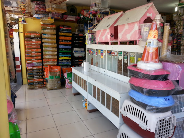 Foto 2 Planeta mundo animal