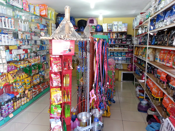 Foto 3 Planeta mundo animal